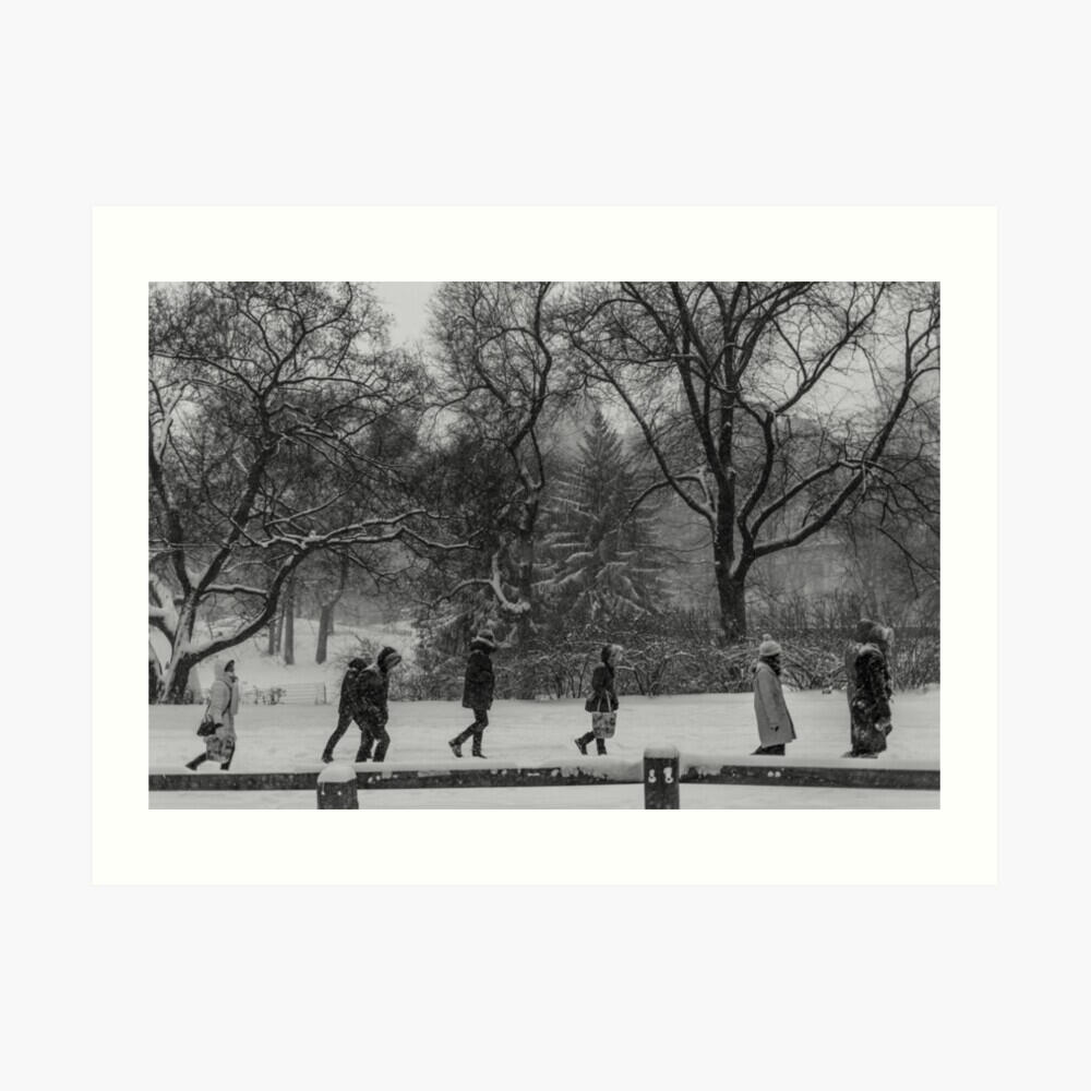 Art Print - Frame Not Included